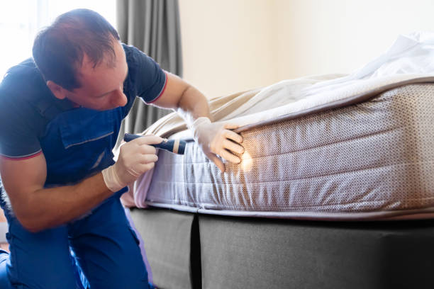 Best Fumigation Services  in Goodhue, MN